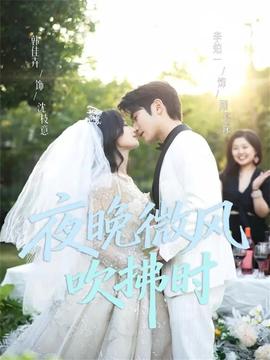 夜晚微风吹拂时(全集)